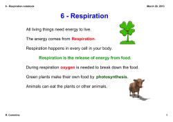 6 - Respiration.notebook
