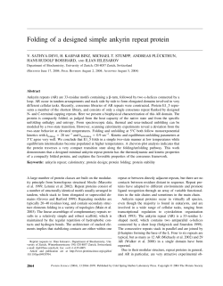 Folding of a designed simple ankyrin repeat protein