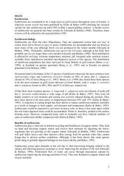 Earth worms - Surrey Bigga