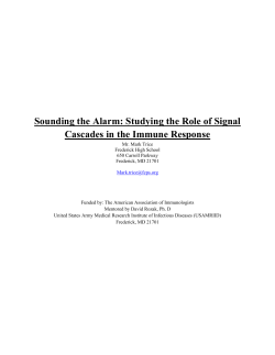 Sounding the Alarm: Studying the Role of Signal Cascades in the