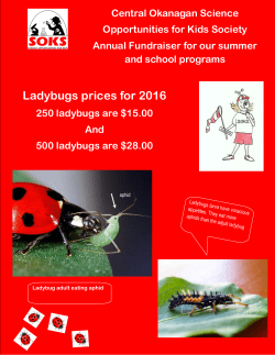 ladybug prices full page 2016.pub