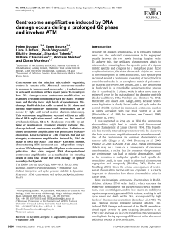 Centrosome amplification induced by DNA damage occurs during a