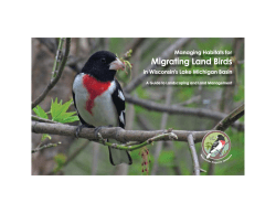 Managing Habitats for Migrating Land Birds in Wisconsin`s Lake