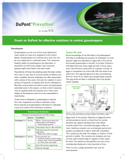 Count on DuPont for effective solutions to control grasshoppers