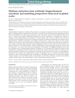 Methane emissions from wetlands: biogeochemical