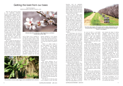 Getting the best from our bees - CSIRO Research Publications