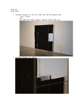 Image List Krista Heinitz 1. Articulated Structure no