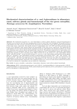 and &beta;-glucosidases in alimentary canal, salivary glands