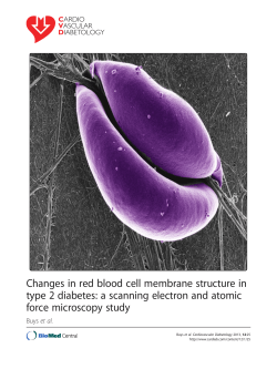Changes in red blood cell membrane structure in type 2 diabetes: a