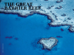 THE GREAT BARRIER REEF