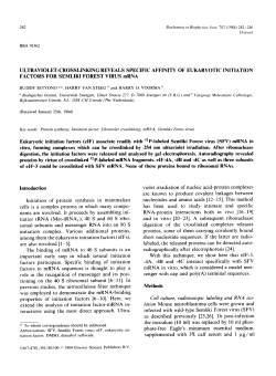 Cell culture, radioisotopic labeling and RNA iso-