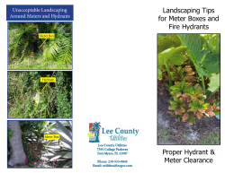 Landscaping Tips for Meter Boxes and Fire Hydrants