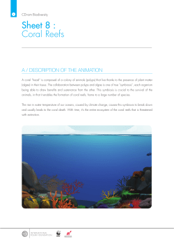 Sheet 8 : Coral Reefs