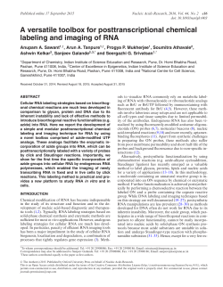 A versatile toolbox for posttranscriptional chemical labeling and