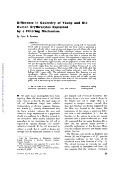 Difference in Geometry of Young and Old Human Erythrocytes