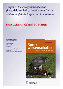 Torpor in the Patagonian opossum (Lestodelphys halli