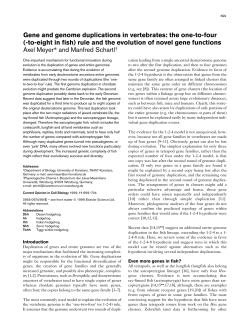Gene and genome duplications in vertebrates: the one-to-four (