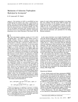 Mechanism of Adenosine Triphosphate Hydrolysis by Actomyosin&rdquo;