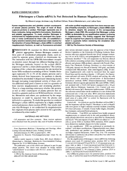 Fibrinogen y-Chain mRNA Is Not Detected In