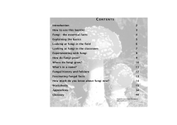 Mushrooms primary school activity pack