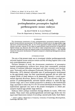 Chromosome analysis of early postimplantation