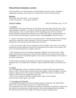 Mitosis/Meiosis Simulation Activities