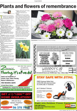 Plants and flowers of remembrance