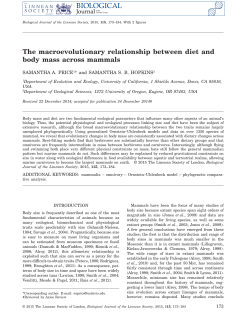 The macroevolutionary relationship between diet