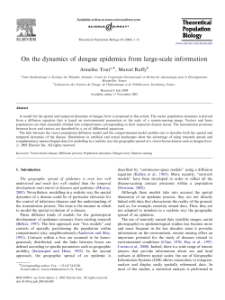 On the dynamics of dengue epidemics from large