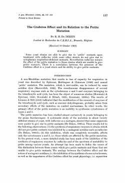 The Crabtree Effect and its Relation to the Petite Mutation