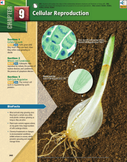 Chapter 9 - Mr. Uchime`s Science
