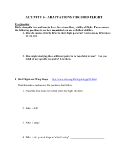 activity 6 - adaptations for bird flight