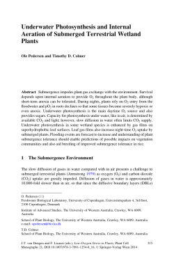 Underwater Photosynthesis and Internal Aeration - Bio-WEB