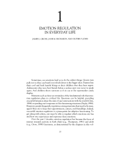 Emotion Regulation in Everyday Life