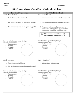 Mitosis vs Meiosis