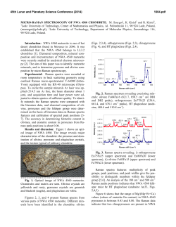 MICRO-RAMAN SPECTROSCOPY OF NWA 4560 CHONDRITE. M