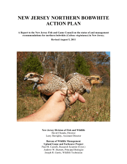 new jersey northern bobwhite action plan