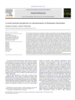 A social network perspective on measurements of dominance