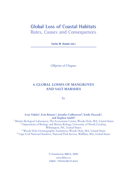Global Losses of Mangroves and Salt Marshes_Global Loss of
