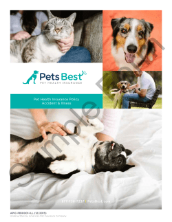 877-738-7237 | PetsBest.com Pet Health Insurance Policy Accident