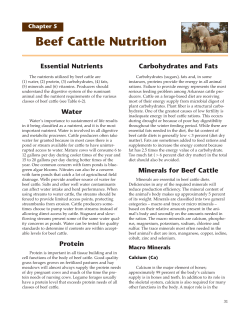 Chapter 5 - Beef Cattle Nutrition
