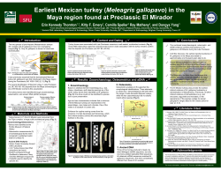 Earliest Mexican turkey (Meleagris gallopavo) in the Maya region