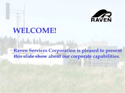 Raven Services Corporation