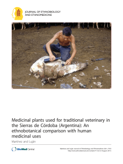 Medicinal plants used for traditional veterinary in the Sierras de
