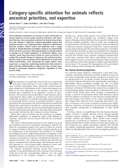 Category-specific attention for animals reflects ancestral