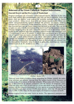 Holocaust of the Green Cathedral: Tropical Deforestation
