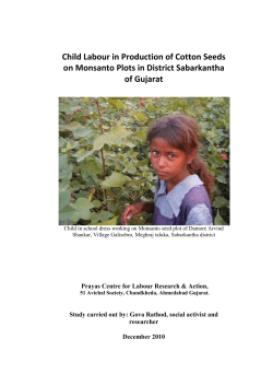 Child Labour in Production of Cotton Seeds on Monsanto Plots in
