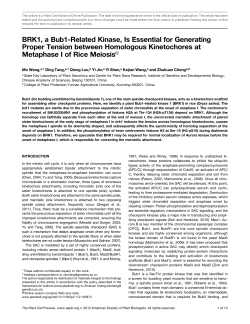 BRK1, a Bub1-Related Kinase, Is Essential for