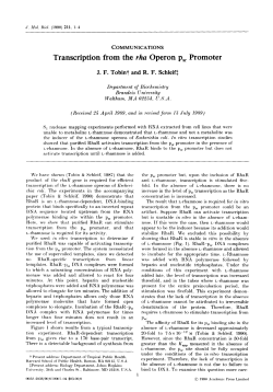 66. Transcription from the rha Operon pSR Promoter, J. F. Tobin, R
