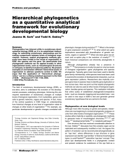Hierarchical phylogenetics as a quantitative analytical framework for